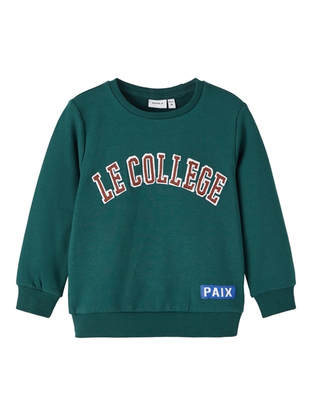 NAME IT Rafay Sweatshirt Sea Moss